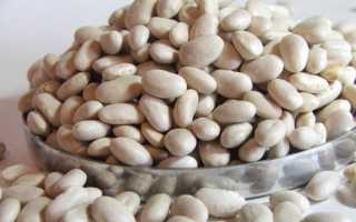 Белая фасоль: калорийность, польза и вред