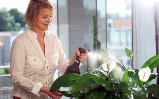 Народные средства для лечения болезней растений