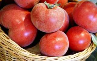 Томат “персик”: характеристика и описание сорта, отзывы, фото
