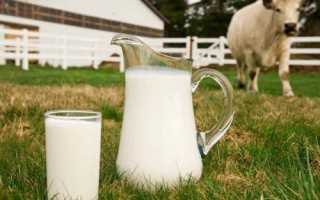 Учет и оценка молочной продуктивности коров — однопроцентное молоко