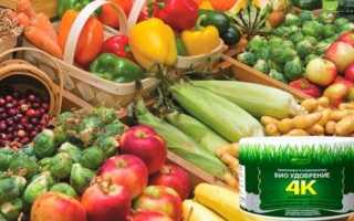 Зачем под помидоры кладут перо. Применение куриного пера на огороде