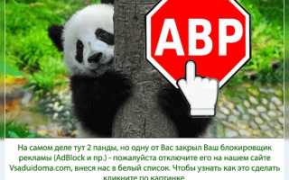 Что это за чудесный овощ — репа? Подробный обзор забытого ныне корнеплода