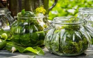 Как правильно вырастить огурцы «Маринда f1» на своем участке и получить богатый урожай