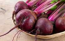 Чем кормить домашних шиншилл?