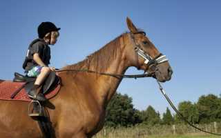 Лечение лошадьми, как называется и расшифровывается?