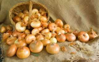 Лук репчатый (EN: Onion) Овощи обои, картинки, скачать 341 обои на рабочий стол. Красивые бесплатные фото еды для рабочего стола