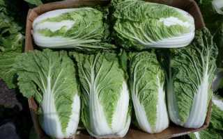 Как хранить пекинскую капусту в погребе