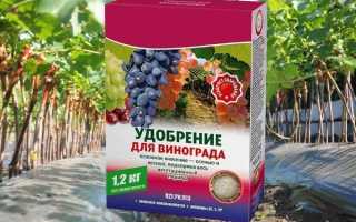 Внекорневая подкормка винограда – быстрая подпитка для лианы