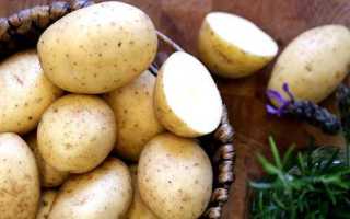 Описание и характеристика картофеля сорта Елизавета, правила посадки и ухода