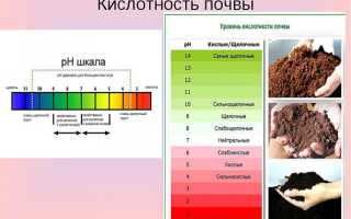 Растения-индикаторы или причина отказаться от монопосадок