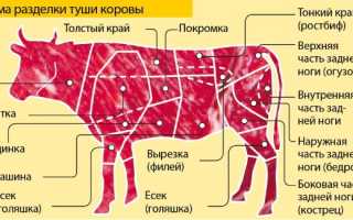 Вырезка говяжья. Что это огузок, часть туши, фото, схема, где находится