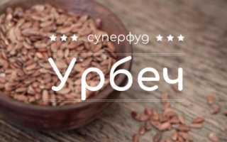 Польза и вред урбеча из семян льна