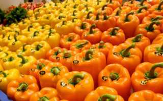 Перец болгарский красный калорийность на 100 грамм