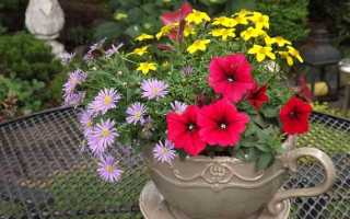 Клумба для дачи: как своими руками создать цветочный оазис (60 фото)