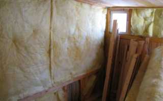 Как правильно содержать уток и кур вместе