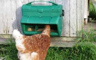 Как сделать кормушку для бройлеров своими руками