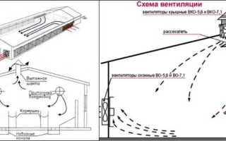 Строительство и устройство свинарника
