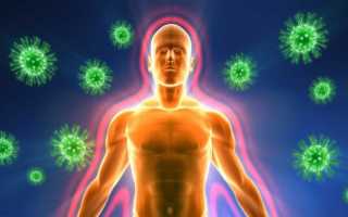 Полезные свойства корня укропа и его лечебное применение