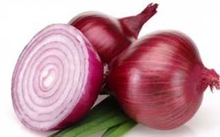 Фиолетовый (красный) лук: чем полезен, когда убирать и как хранить