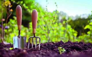 Универсальные удобрения для всех культур огорода и сада весной-летом