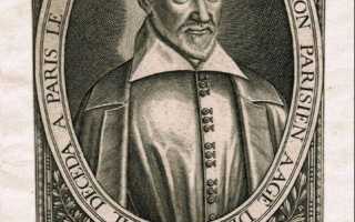 Брюква – что это такое, полезные свойства, выращивание и уход