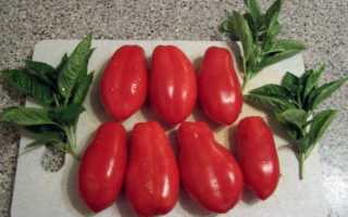 Томат дамские пальчики характеристика и описание сорта
