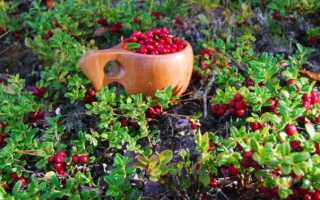 Брусника Ваше имя (обязательно) Ваш e-mail (обязательно) Тема Сообщение Пожаловаться ▲▼ ПроблемыИнформация невернаОпечатки, неверная орфография и пунктуацияИнформация потеряла актуальностьНедостаточно