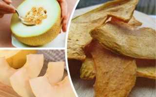 Польза и вред сушеной дыни для организма