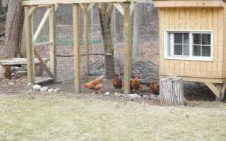 Виды инфракрасного обогревателя для курятника: назначение и особенности приборов