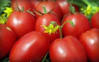 Томат «де барао розовый»: отзывы. Сорта высокоурожайных томатов