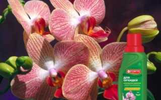 Удобрение для орхидей — Бона форте. Описание, инструкция по применению и практические рекомендации