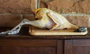 Как приготовить мясо павлина