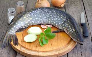 Как снять чешую с щуки. Как снять шкуру со щуки и разделать рыбу