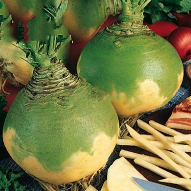 Брюква Детская любовь