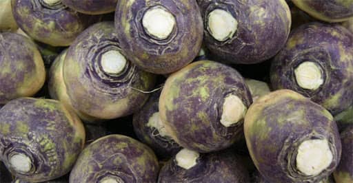 Брюква на даче