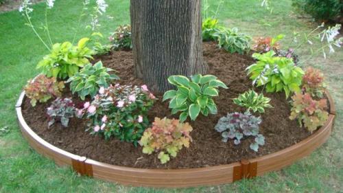 Что посадить под грушей. Как сделать клумбу под деревом