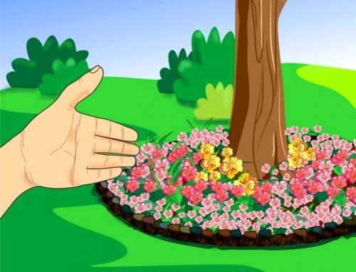 Что посадить под грушей. Как сделать клумбу под деревом