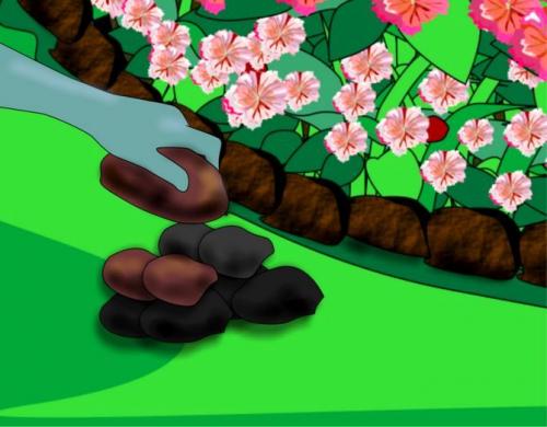 Что посадить под грушей. Как сделать клумбу под деревом