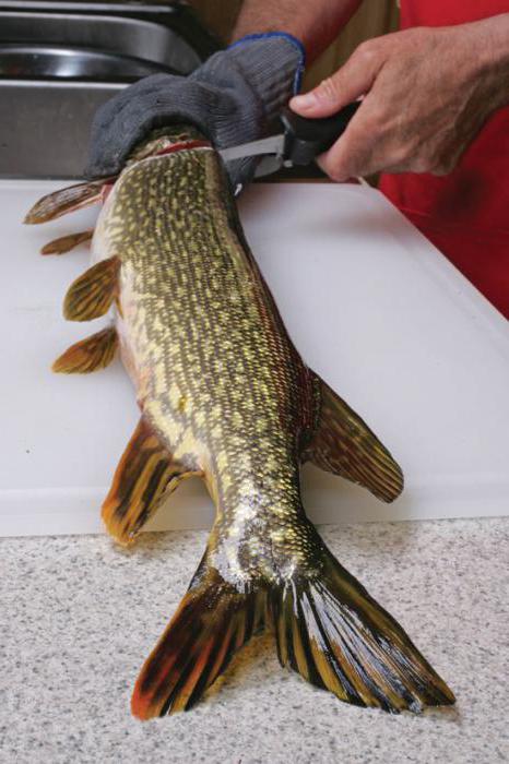 как быстро снять шкуру со щуки