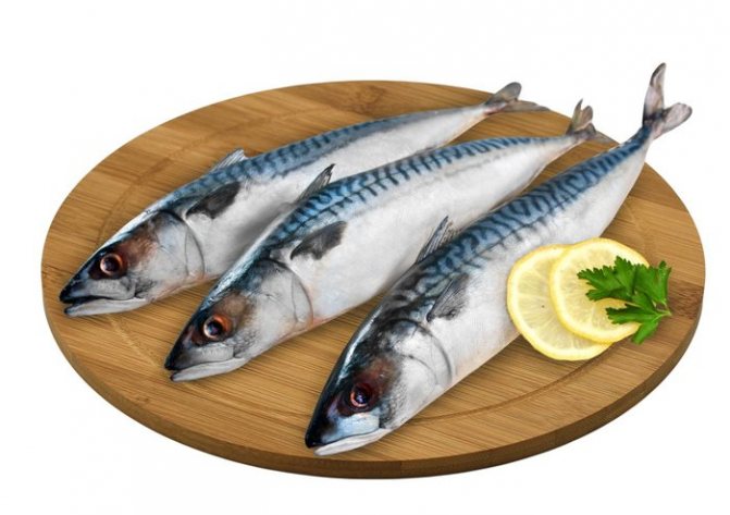 Как приготовить рыбу путассу пошагово с фото. Рецепты жареная на сковороде, запеченная по-корейски, в кляре, под сметаной