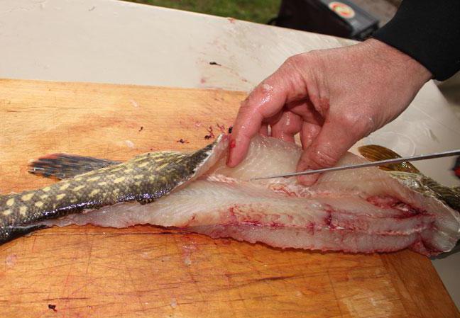 как снять шкуру со щуки