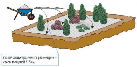 Клумба с лилейниками