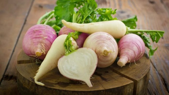 Мякоть брюквы