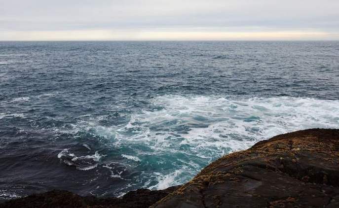 Океан. Среда обитания путассу