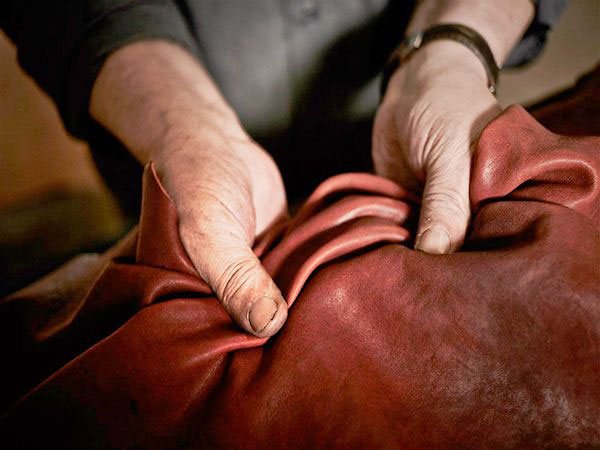 Окрашенная кожа теленка