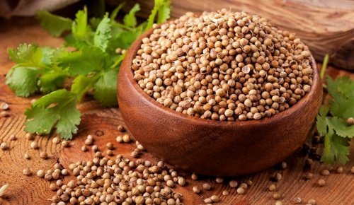 пучок кинзы на столе