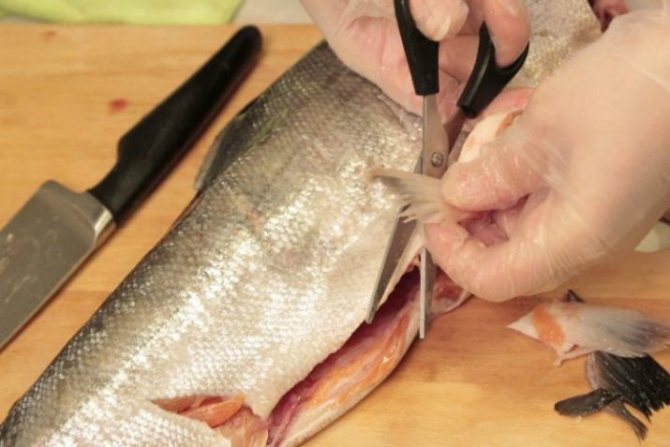 Путассу в духовке — интересные рецепты вкусного и полезного блюда | Таки Вкусно