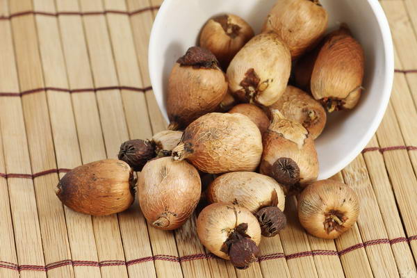 Размножение ацидантеры