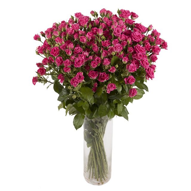 Разновидность группы спрей