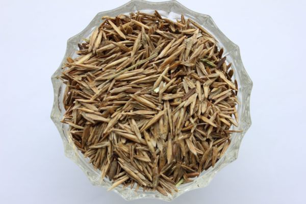 Семена растения